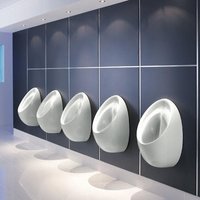 Armitage Shanks Sanura HygenIQ Rimless Urinal, 500mm - S611801