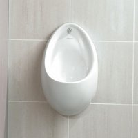 Armitage Shanks Contour Rimless Urinal, 670mm Back Inlet Concealed - S611001