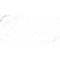 Amiata Valencia White Marble Porcelain Wall & Floor Tiles 300 x 600mm
