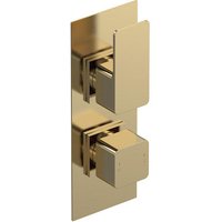 Aquari Quadro Concealed Thermostatic Shower Valve - Brass, Twin Outlet